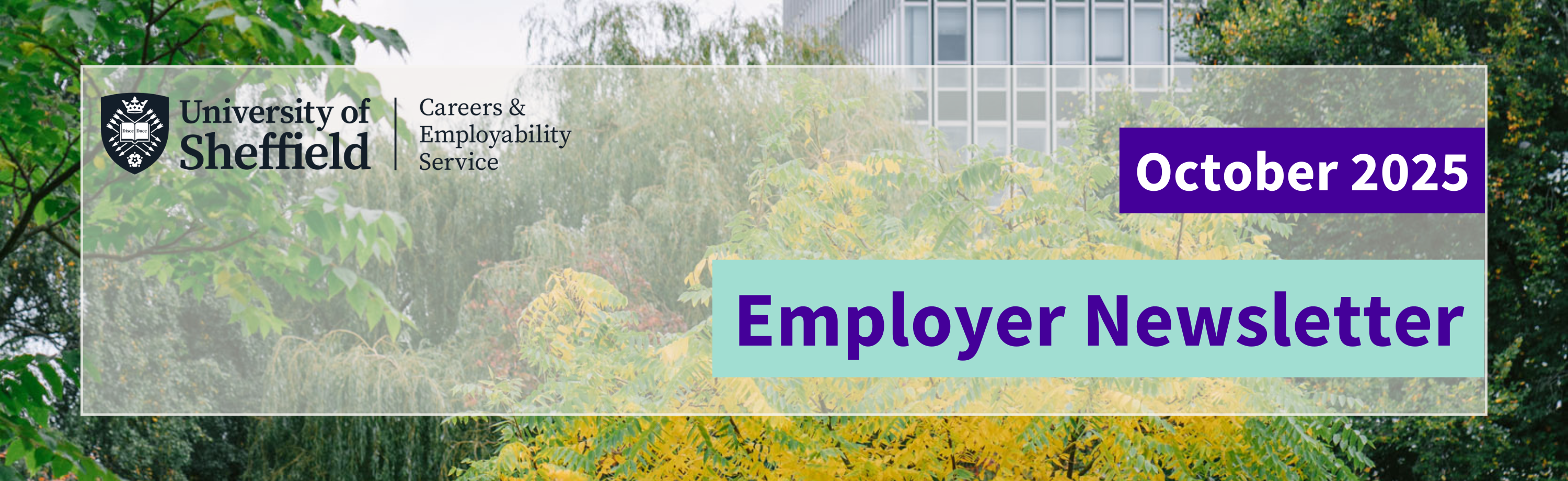 Career Connect header